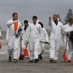 Beach clean-up volunteers